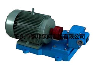 BCB系列擺線(xiàn)內(nèi)嚙合齒輪泵-擺線(xiàn)內(nèi)嚙合齒輪泵-YHB軸頭齒輪泵